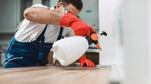 Best Termite Inspection and Treatment  in Stanton, CA